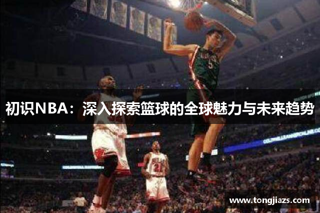 初识NBA：深入探索篮球的全球魅力与未来趋势